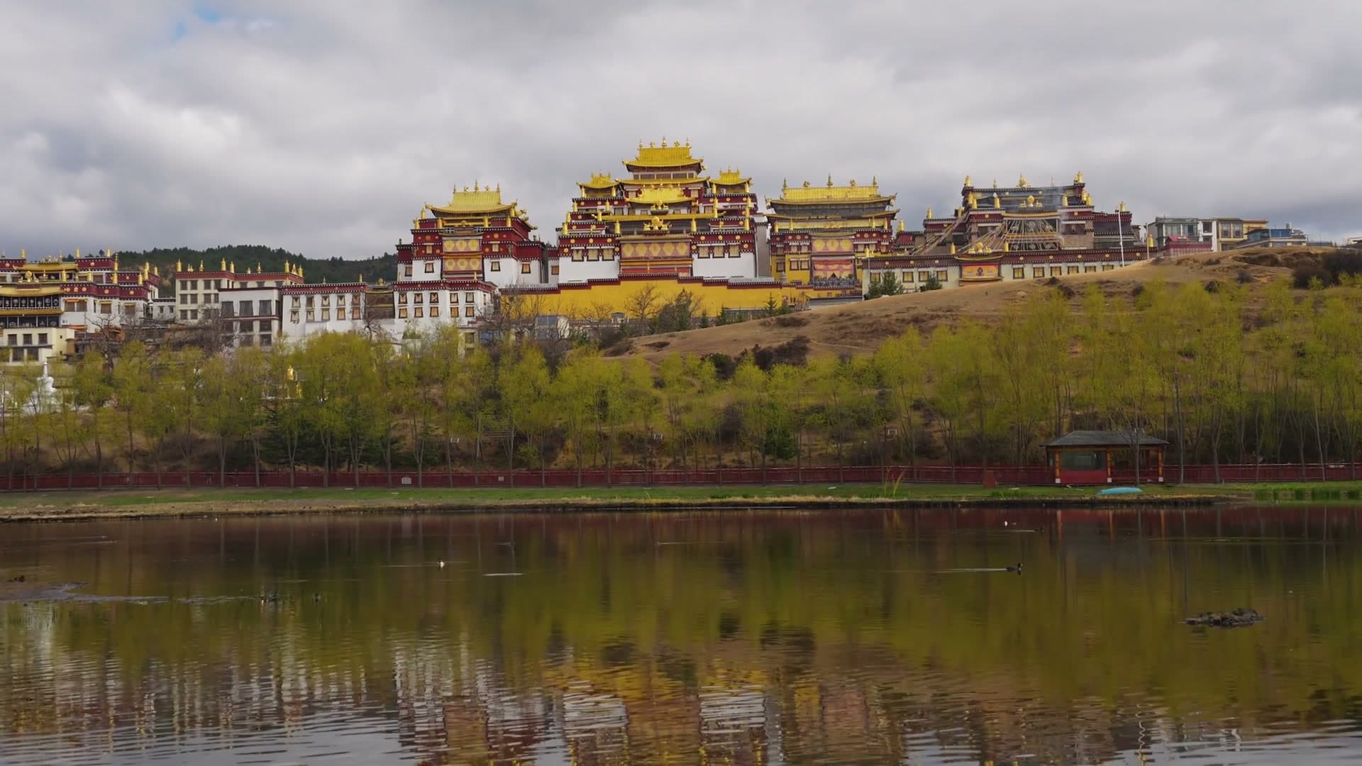 Songzanlin Monastery & Tibetan Culture preview
